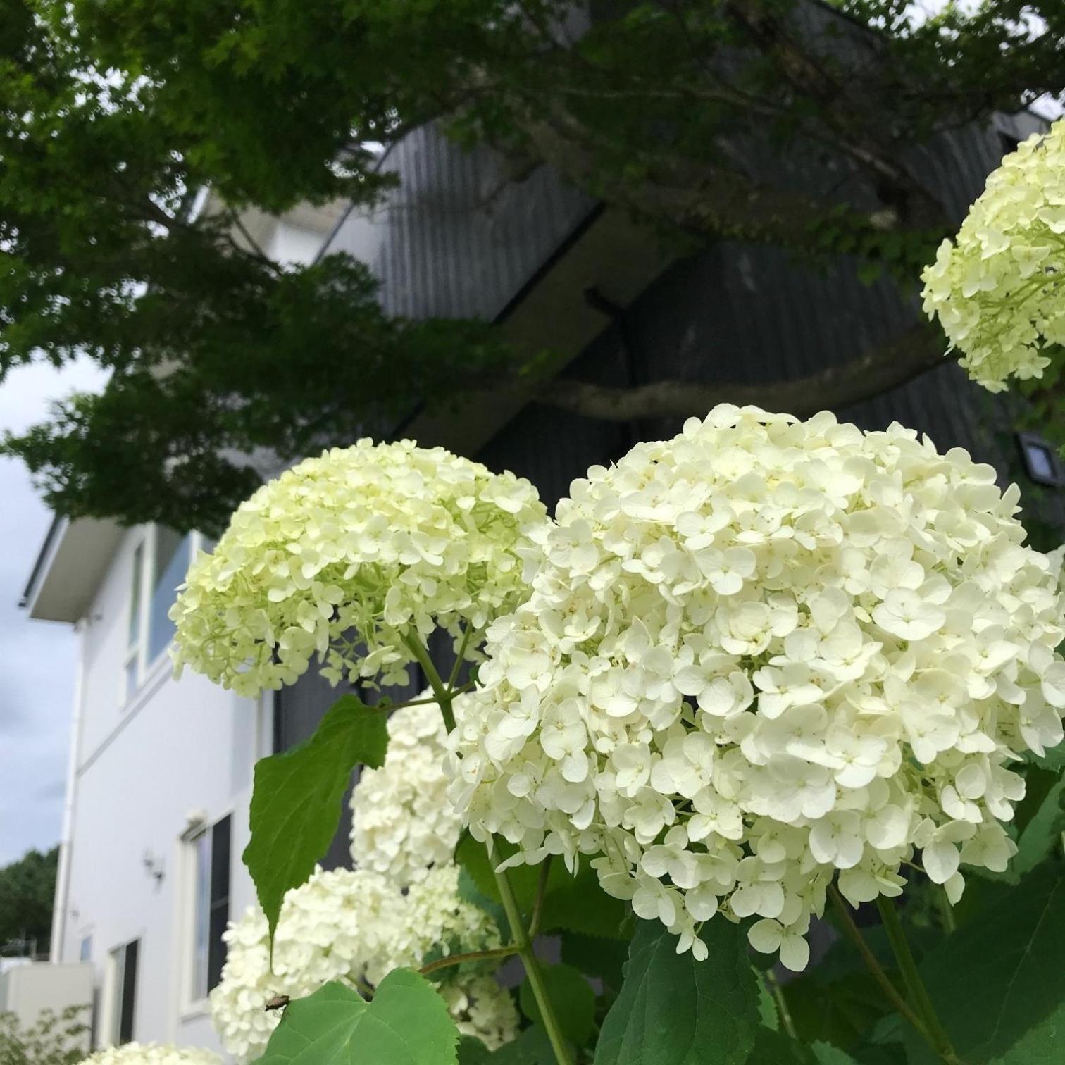 Sweet Villa Takasama - Vacation Stay 11775 Fujiyoshida Luaran gambar