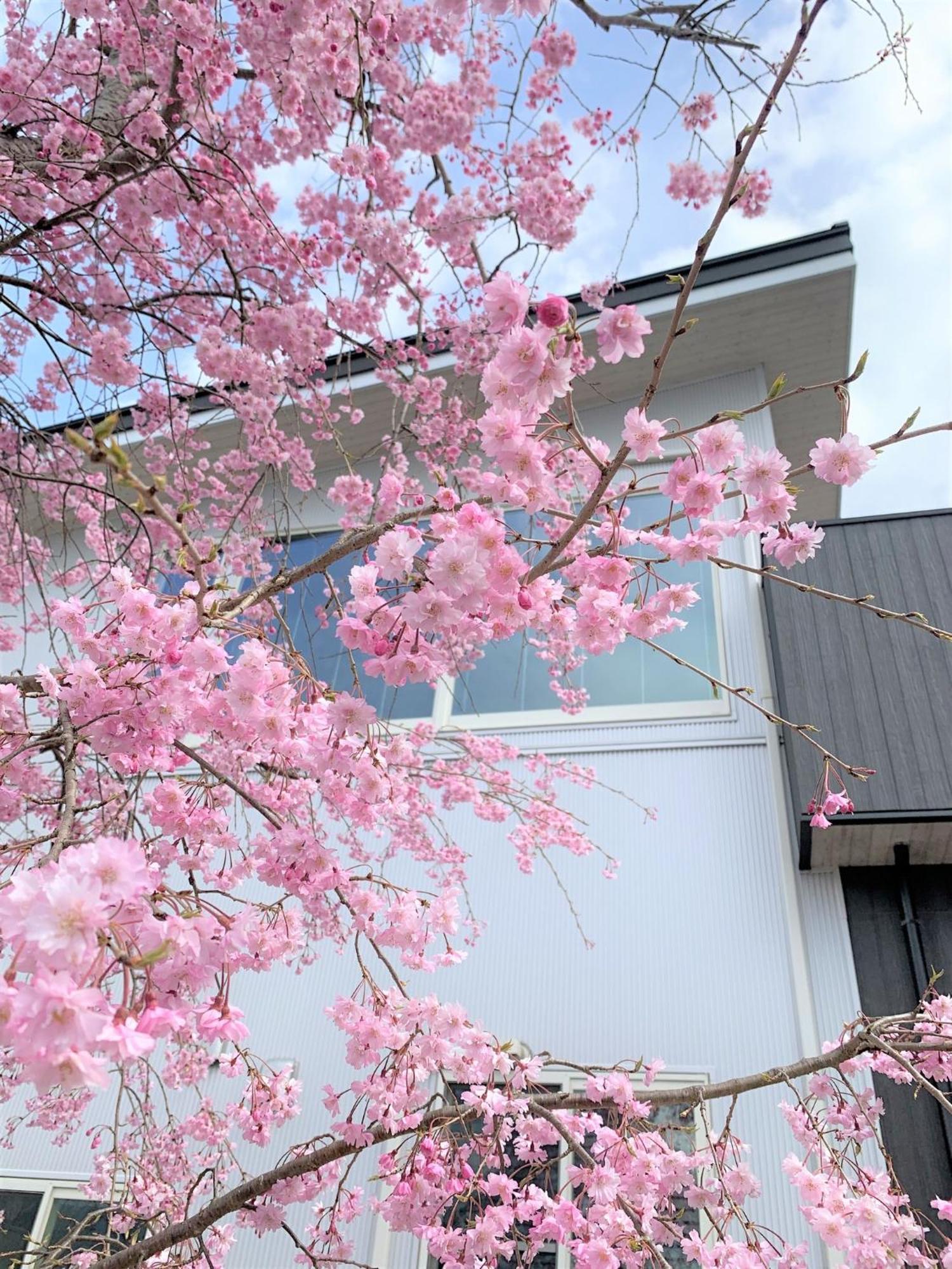Sweet Villa Takasama - Vacation Stay 11775 Fujiyoshida Luaran gambar